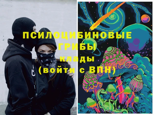 гидра Алексин
