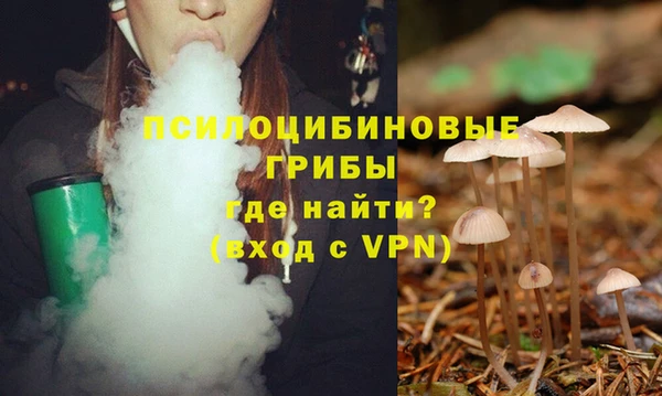 гидра Алексин