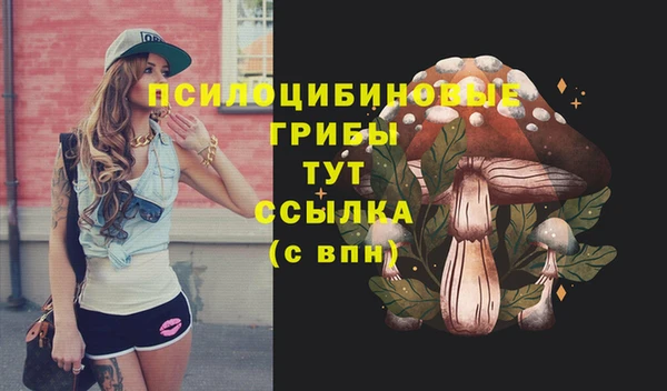 стафф Всеволожск